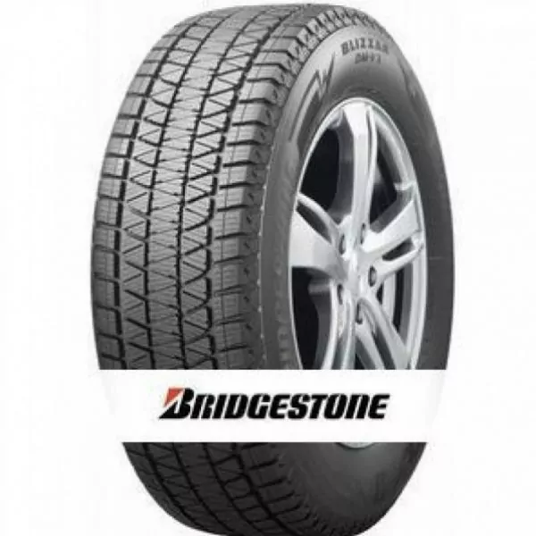 BRIDGESTONE DM-V3 1