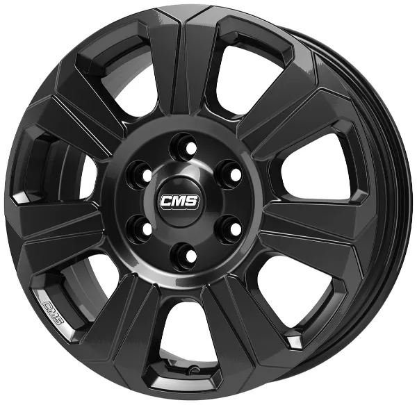 CMS C31 1
