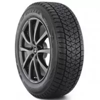 BRIDGESTONE DM-V2 1