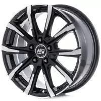 MSW MSW 79 1