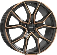 CMS C33 1