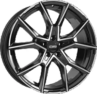 CMS C33 1