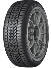 DUNLOP WINTER TRAIL 1