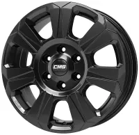 CMS C31 1