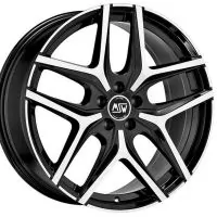 MSW MSW 40 1