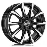 MSW MSW 79 1